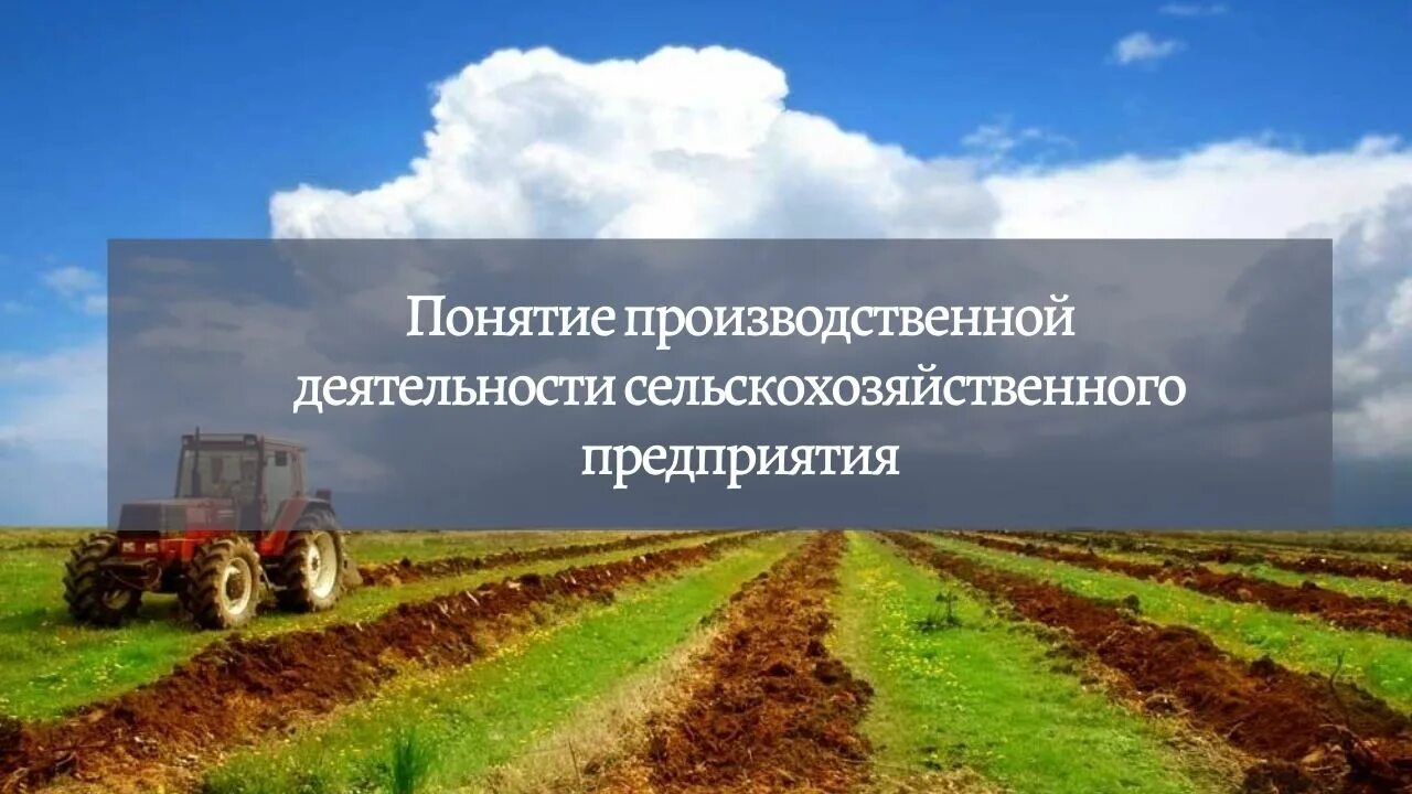 Учет на предприятии в сельском хозяйстве. Предприятия АПК. Организация промышленного и сельскохозяйственного труда. Агропромышленное производство контроль.