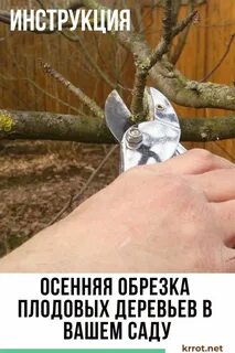 Обрезал время