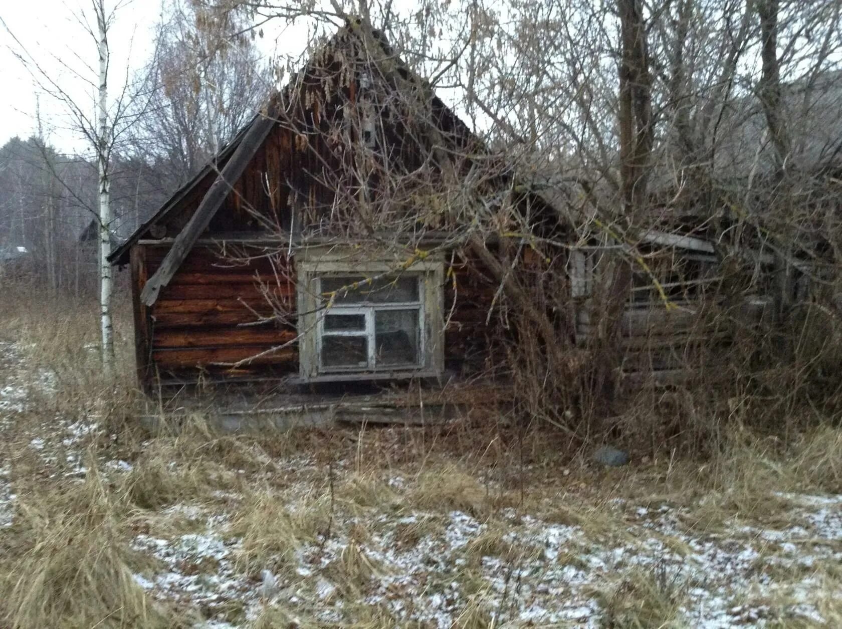 Поселок Керженец Нижегородская область Борский район. Поселок Керженец Борский район дома. Авито Бор Нижегородская область. Продажа домов в Боре Нижегородской области.