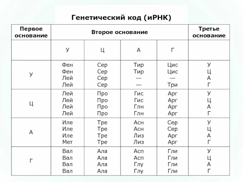 Количество триплетов генетического кода кодирующих аминокислоты. Аминокислоты днк и рнк таблица. таблица генетический код биология. таблица генетического кода и-рнк егэ. таблица генетического кода днк и рнк.
