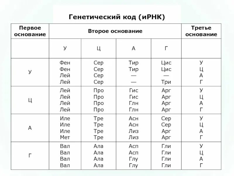 Из днк в ирнк таблица. Таблица генетического кода ИРНК таблица. Таблица генетического кода ДНК И РНК. Таблица кодирования аминокислот ДНК И РНК. Аминокислоты таблица генетического кода.