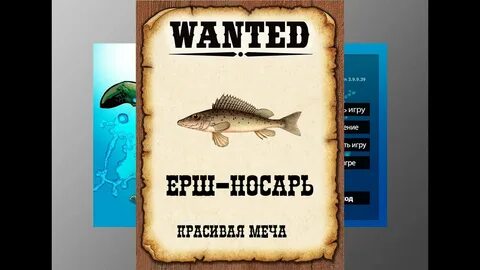 Вьюнок ерш носарь