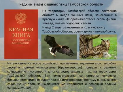 Тамбовская красная книга