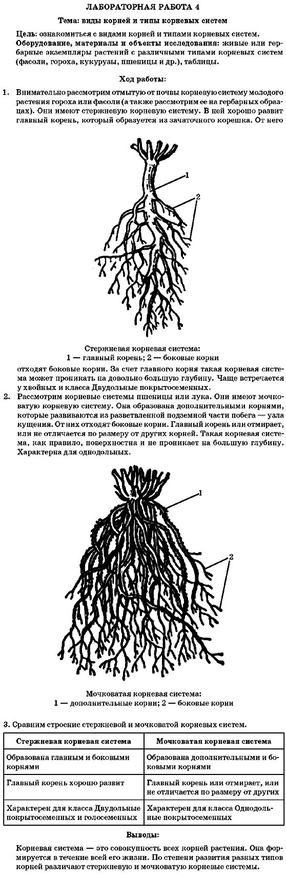 Биология лабораторная работа. Лабораторная оабота по Биол. Оформление лабораторной работы биология. Лабораторная работа по биологии 6 класс.