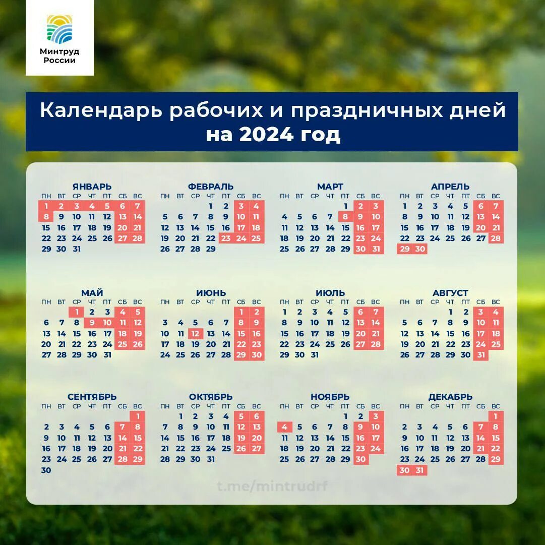 Каникулы 2025 2025 работа