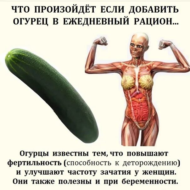 Не до завтрака, когда даже огурец хочется сосать, а не есть
