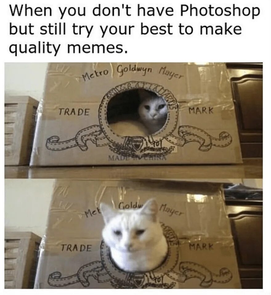 Dad has a cat. Cat dad мем. i want a cat. трейд мем. me fresh cat мем.