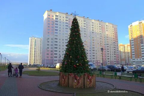 Домодедовская отзывы