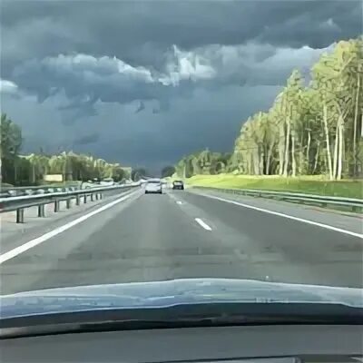 Питомник приозерское шоссе. Питомник приозерское шоссе