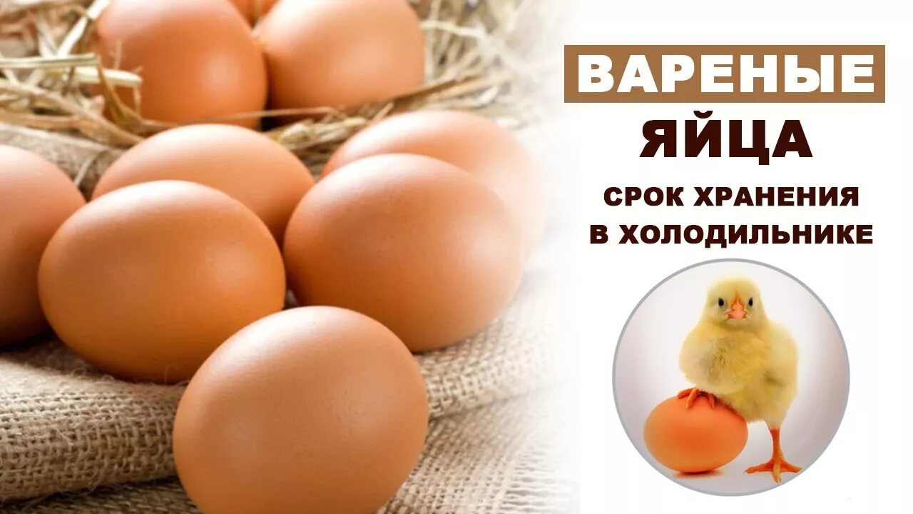 Сколько могут лежать яйца. Срок хранения вареных яиц. Срок годности вареных яиц. Варёные яйца срок хранения в холодильнике. Срок хранения яиц в холодильнике.