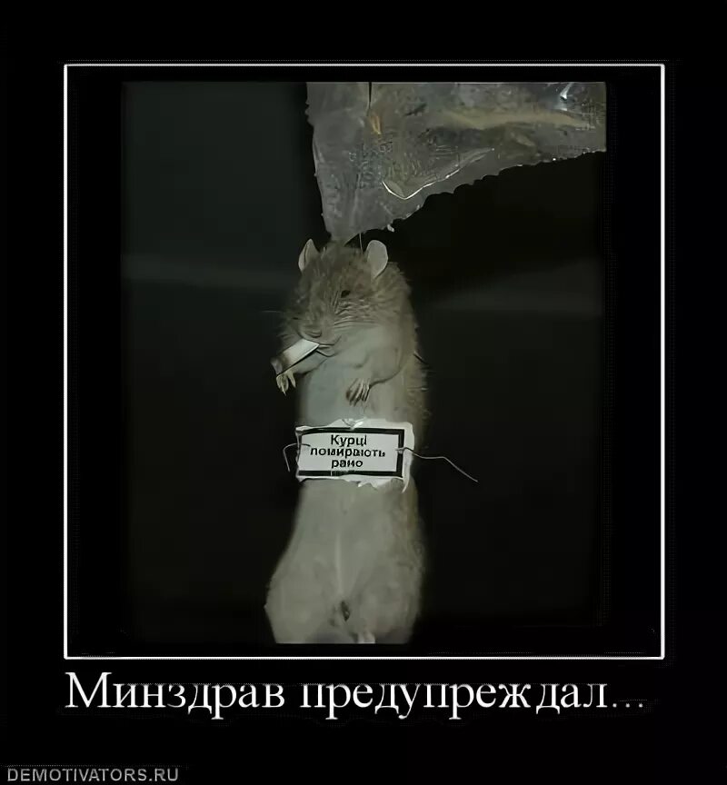 Минздрав предупреждает песня