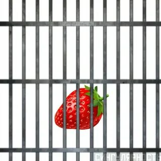 Решетчатые клетки