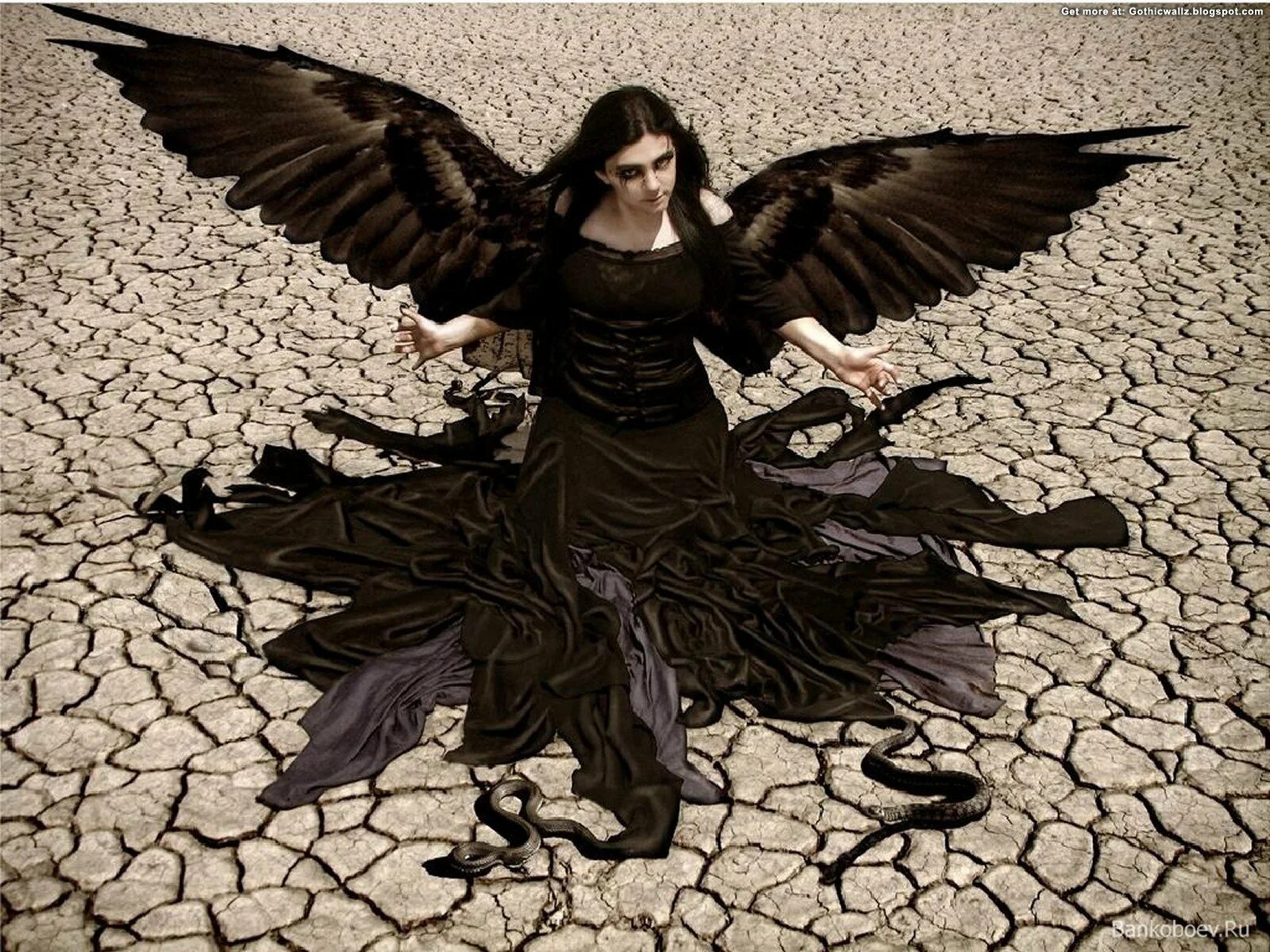 Черные ангелы читать. Черный ангел. Женщина с черными крыльями. Ведьма с черными крыльями. Ангел в черном платье.