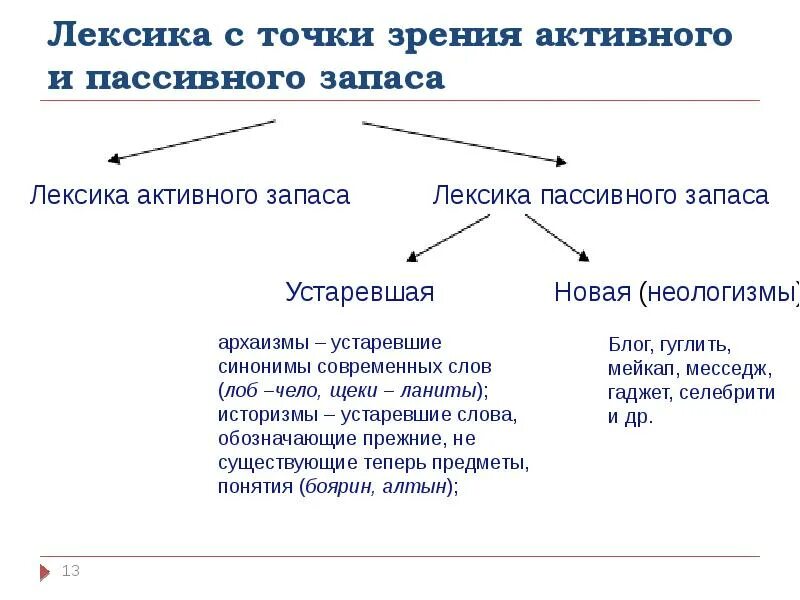 Лексика русского языка с точки зрения активного и пассивного запаса. Лексика активного и пассивного запаса языка. Активный и пассивеый словарзапас. Лексика. Лексика с точки зрения активного и пассивного запаса.