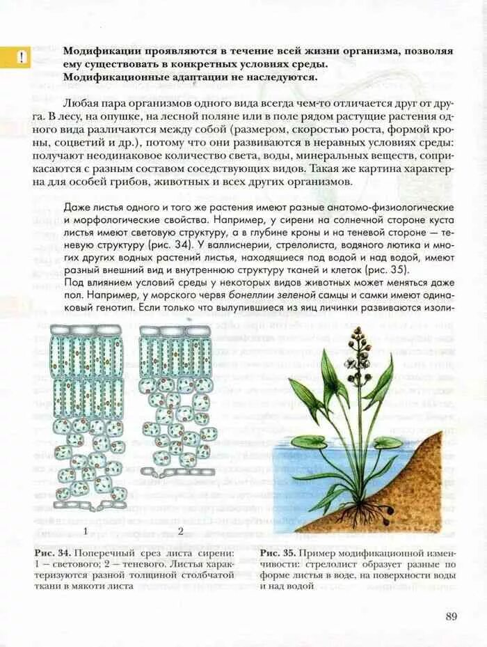 Биология 9 класс Пономарева Корнилова Чернова. Учебник по биологии 9 класс Пономарева Корнилова Чернова. Биология Пономарева Корнилова 9. Учебник по биологии 9 класс Пономарев. Учебник по биологии 9 класс читать пономарева