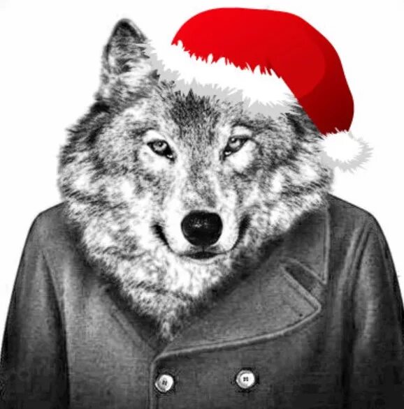 Волк мороз. Новогодний волк. Шапка 'волк'. Волк в новогодней шапке. Волк в шапке Деда Мороза.