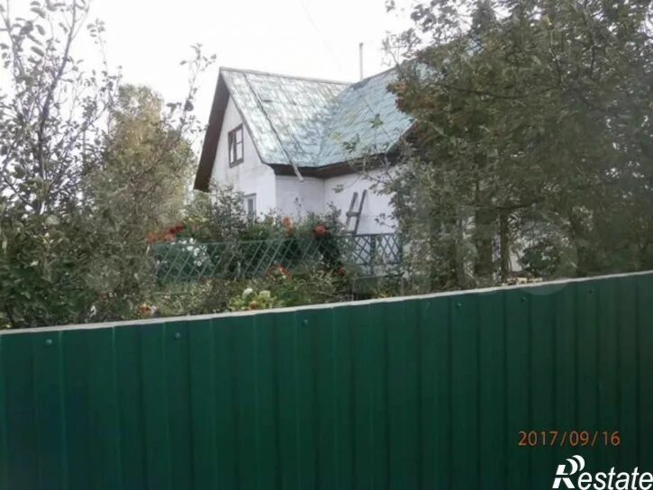 Праздник коровы. Погода в кадниково мамонтовского алтайского края. Погода в кадниково мамонтовского алтайского края. Село новоалейское алтайский край. 314.