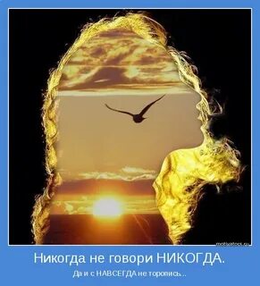 Никогда не спеши