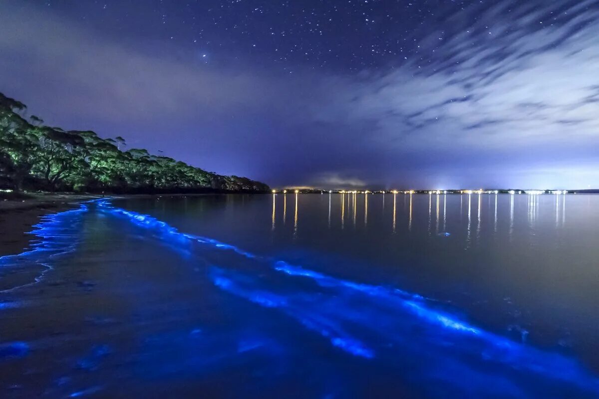 Окр мир ночью. Остров Ваадху Мальдивы. Пляж Ваадху Мальдивы. Остров Ваадху, Мальдивы. Планктон. Озеро Джипсленд Австралия.