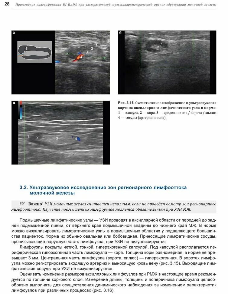 Классификация образований молочной железы bi-rads. Аксиллярная область молочных желез. Мультипараметрическое УЗИ что это. По средней аксиллярной линии молочной железы.