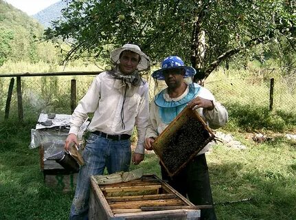 Работа абхазия свежие вакансии
