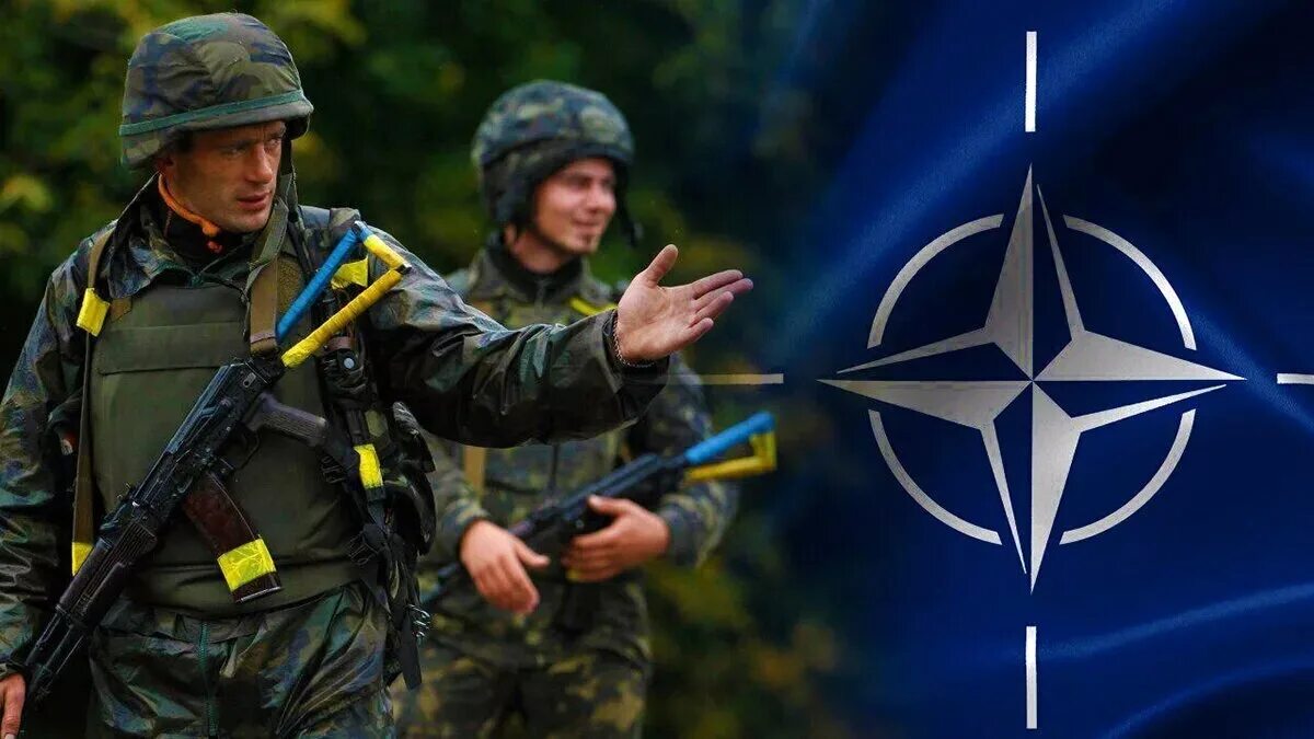 Украина НАТО. ВСУ И НАТО. Украина НАТО ВСУ. Учения НАТО на Украине. Военный альянс стран