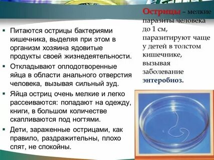 Чешутся яички причина у мужчин причины