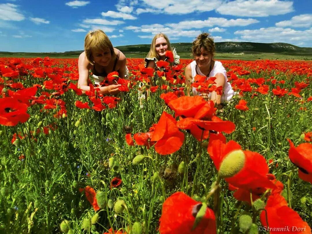 Девушка на лугу с цветами. Алые маки. Маковые поля иссык куль. Красные маки иссык куля. Маки скосана юар.