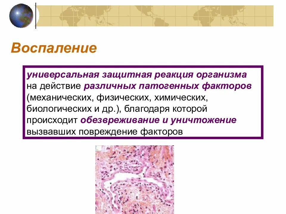 Как называется защитная реакция. Защитная реакция организма. воспаление это защитная реакция организма на. реакция инфекционного воспаления.. реакция воспаления иммунология.