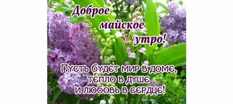 Песня добрый май