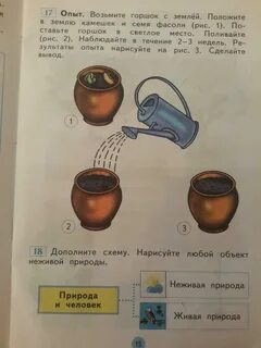 Рабочая тетрадь окружающий мир 1 класс 2024