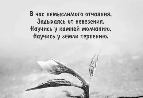Быть с тобой но это немыслимо