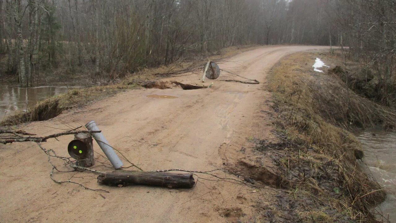 Закрытие дорог в новгородской области