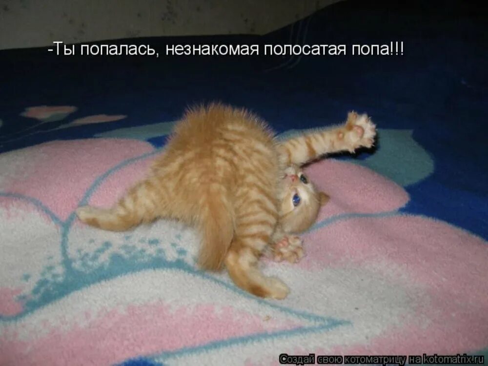 Скоро солнышко проснется