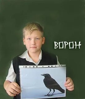 Кто из ученых ворон