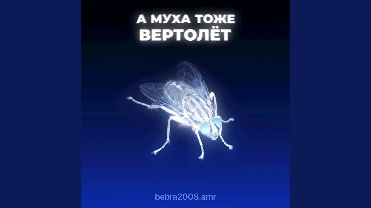 А Муха тоже вертолет. Муха вертолет. FV ve[f NJ;T dthnjktn. Музыка тоже вертолет