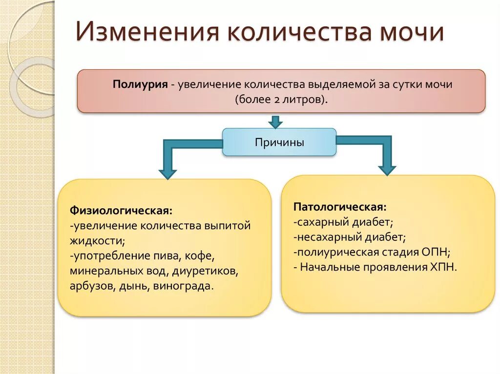 Изменение количества мочи. Физиологическая полиурия. Полиурия моча. Изменения количества диуреза.