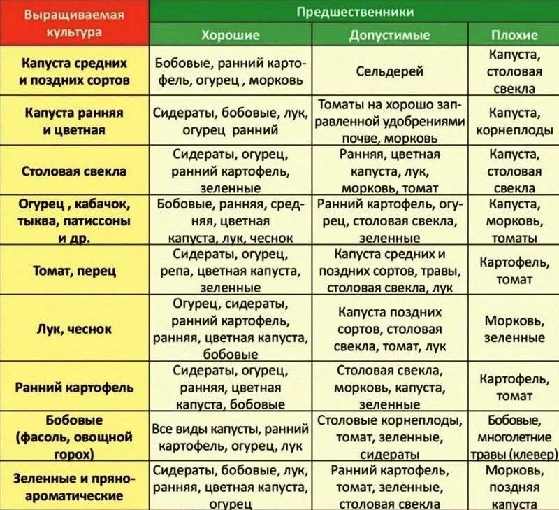 Лук после помидор можно. Таблица севооборота овощных культур. Севооборот овощей в огороде таблица планирование. Таблица севооборота овощных культур и сидератов. Схема чередования культур в севообороте.