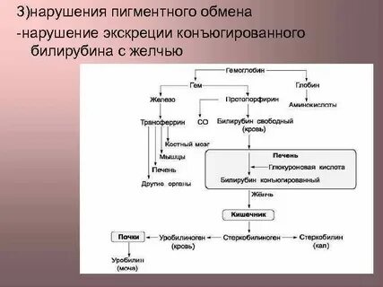 Реакция на билирубин