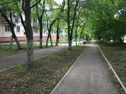 Вострецова приморского края