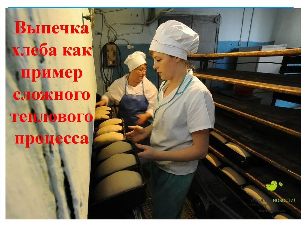 Где выпекают хлеб. Пекарня пекут хлеб. формовщик хлебобулочных изделий. выпечка хлеба в пекарне. хлеб в печи.