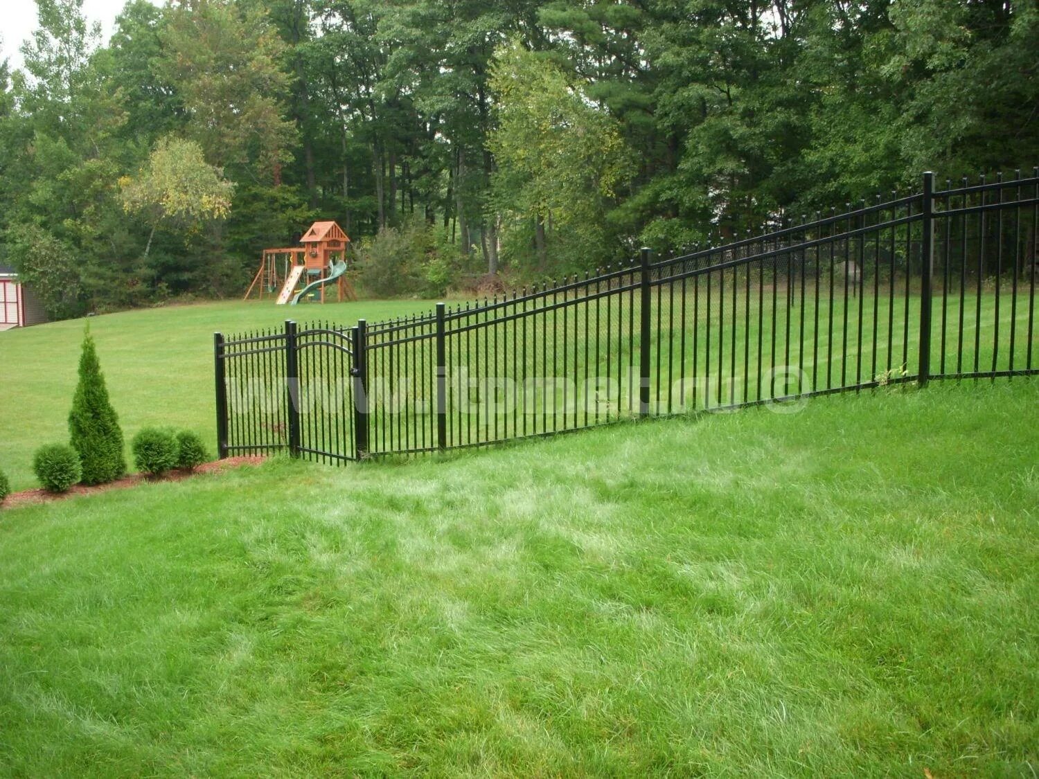 Ограждения участка фото A row of evenly spaced Eagleston Hollies line the back fence and will grow to. P
