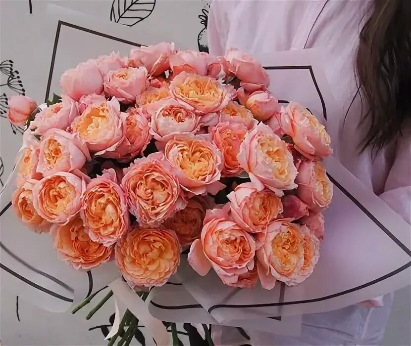 Розы хермоза букет 25 штук. Розы барнаул дешево купить. Розы барнаул. Розы в салоне. 7 роз барнаул.