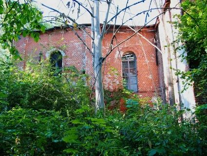 Дмитровское орловская область