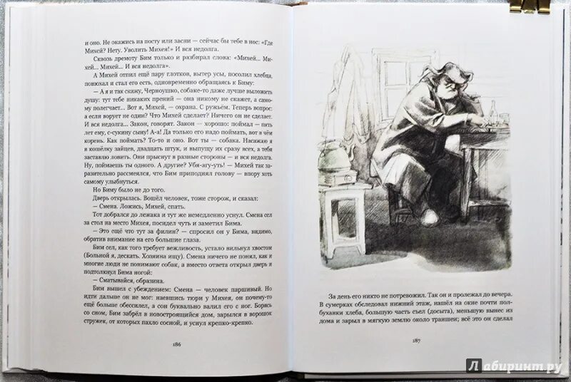 Буктрейлер белый бим черное ухо. Буктрейлер по книге белый бим черное ухо. Троепольский белый бим черное ухо книга. Г н троепольский белый бим черное ухо. Бим чёрное ухо крылатые выражения.