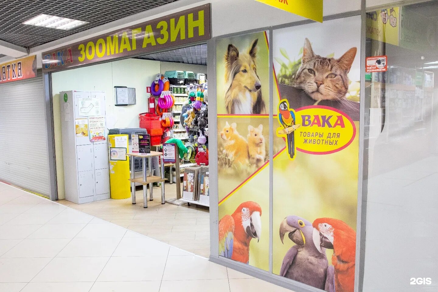 вака зоомагазин. фауна зоомагазин тамбов. петшоп зоомагазин петрозаводск. график работы зоомагазина. магазин для животных зоомагазин.