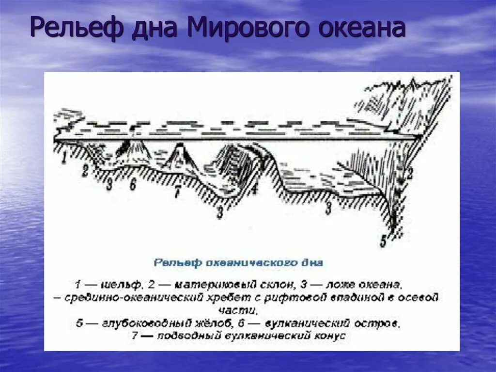 Дно мирового океана 5 класс география. Соответствие элементов рельефа дна мирового океана. Схема рельефа океанического дна. Формы рельефа дна мирового океана схема. Профиль дна мирового океана 5 класс география.