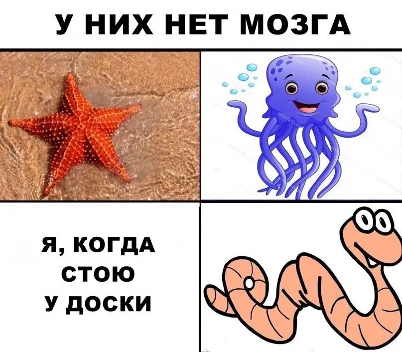 Майор пейн палец. Том что у них нет. Вы понимаете о чем говорят эти люди. У него нет мозга мем. Как человек с двумя почками может говорить.