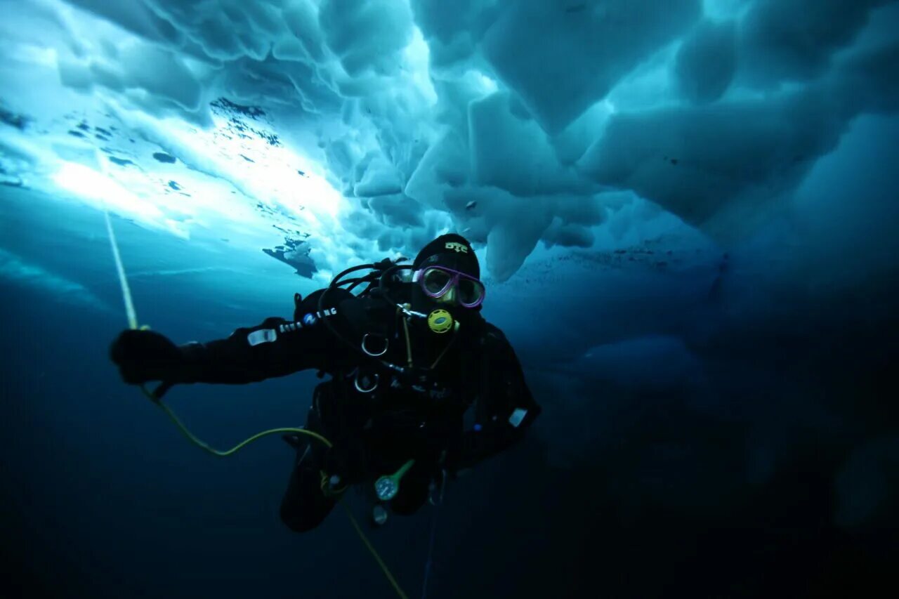 аквалангисты достигают. скуба-дайвинг, scuba-diving погружение. дайвинг в абу даби. красное море плавание с аквалангом. абу даббаб египет дайвинг.