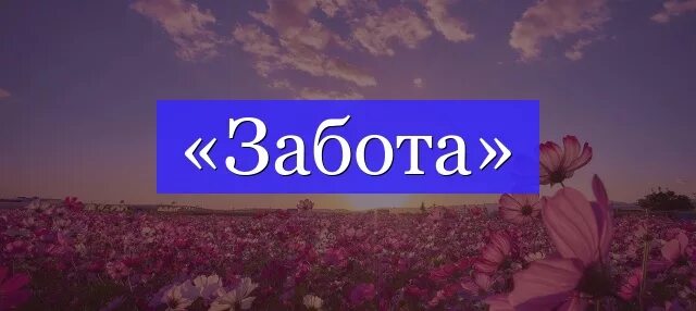 Стану заботиться текст. Забота слово. Забота надпись. Надпись со словом забота. Забота текст.